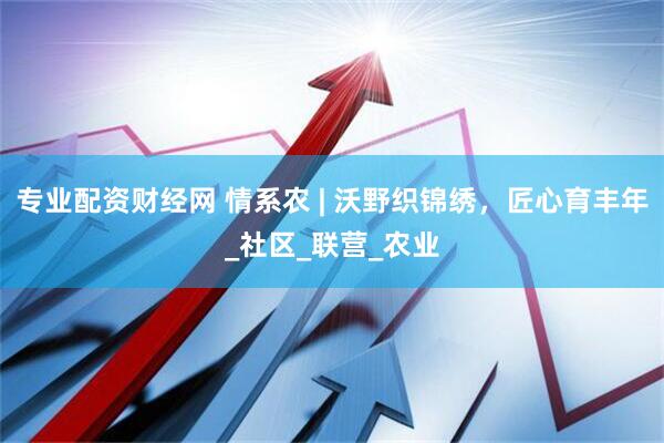 专业配资财经网 情系农 | 沃野织锦绣，匠心育丰年_社区_联营_农业